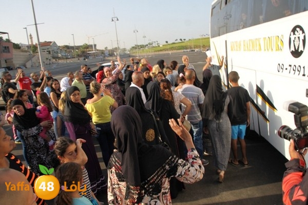 7ojaj plane 102 (28) (Copy).JPG